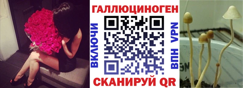 Псилоцибиновые грибы мухоморы  blacksprut tor  Карпинск 