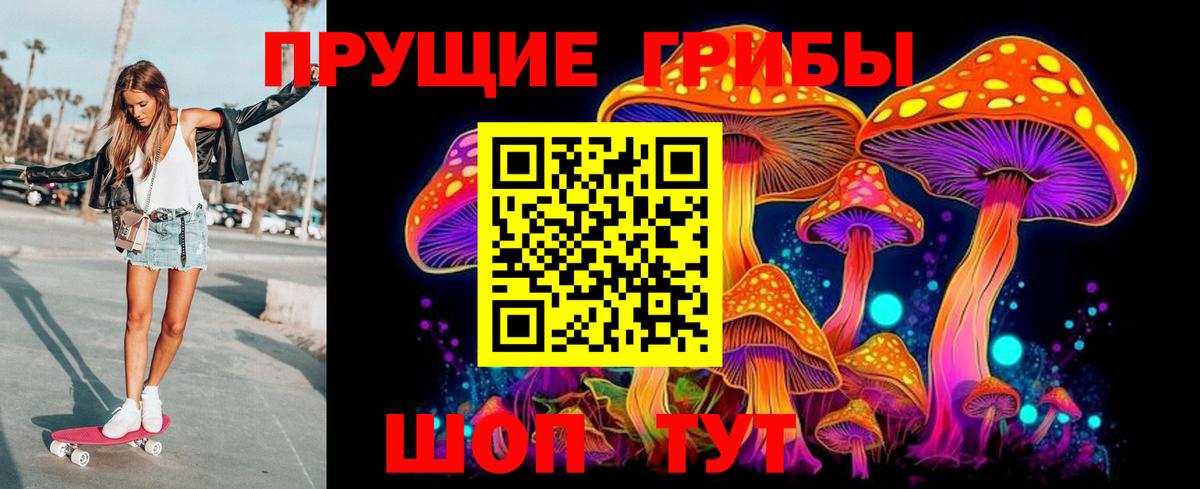Карпинск  Псилоцибиновые грибы Psilocybine cubensis  Вход с VPN  Галлюциногенные грибы прущие грибы 